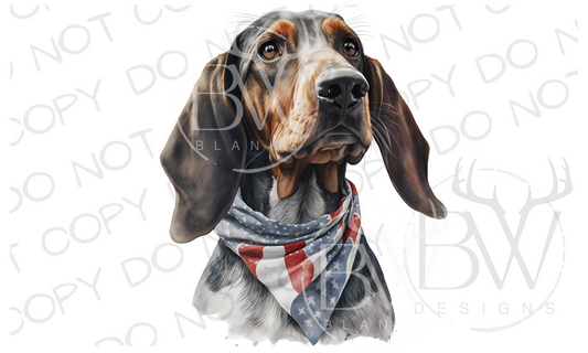 American Bluetick Coonhound Hunting Dog Digital Download PNG