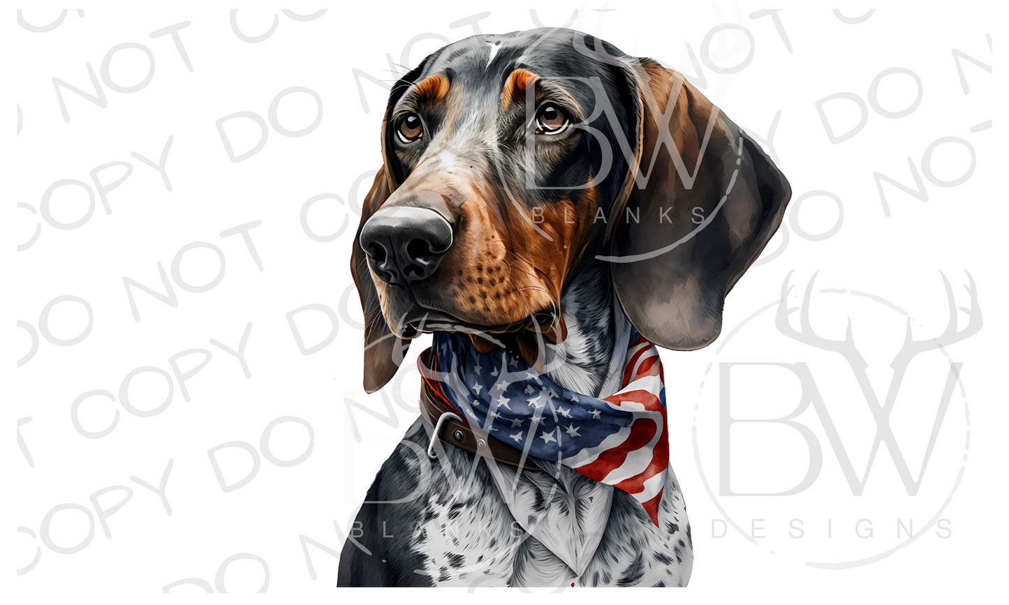 American Bluetick Coonhound Hunting Dog Digital Download PNG