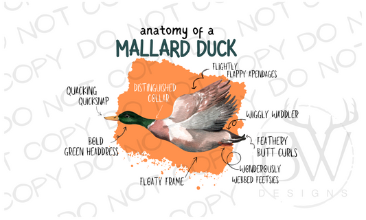 Anatomy of a Mallard Duck Hunting Digital Download PNG