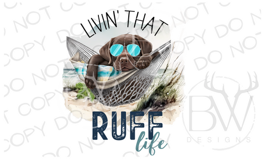 Livin' that Ruff Life Chocolate Labrador Summer Digital Download PNG