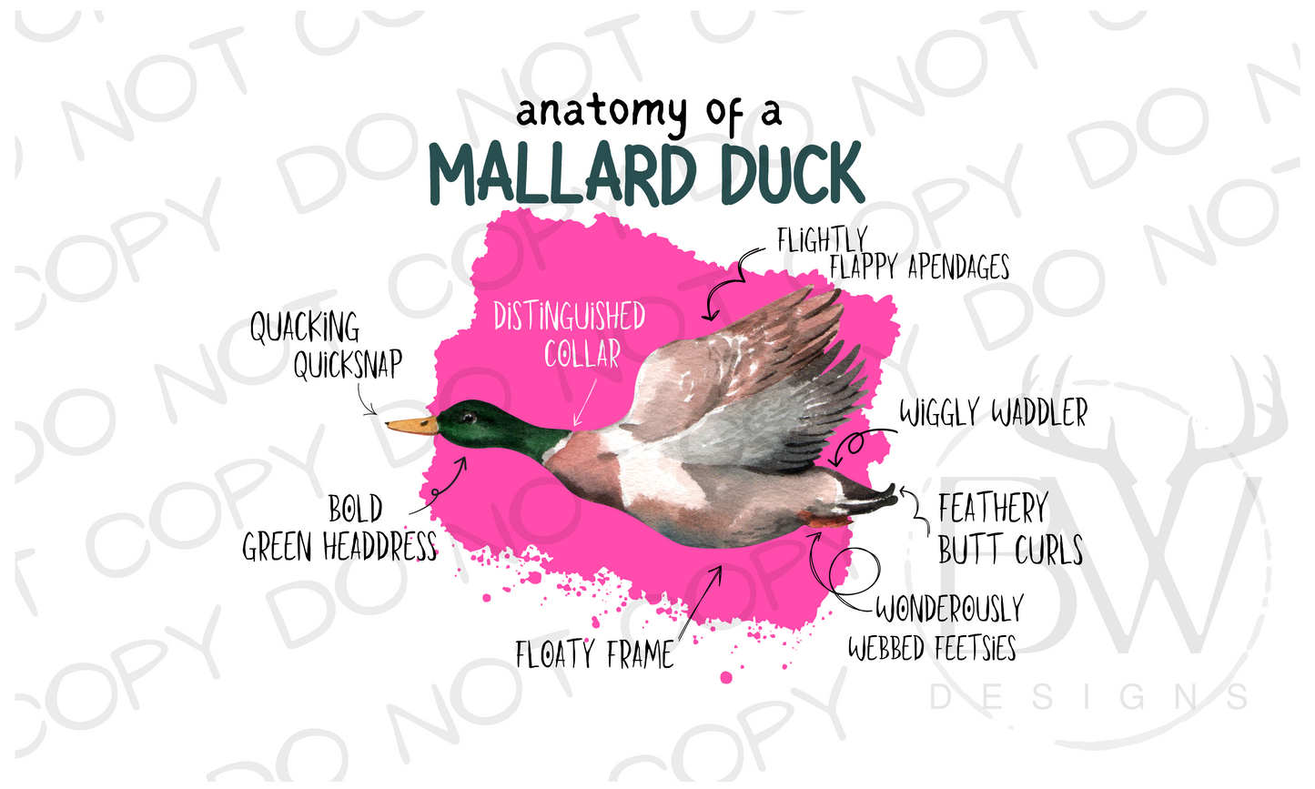 Anatomy of a Mallard Duck Hunting Digital Download PNG