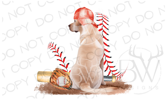 Baseball Hunting Dog Digital Download PNG