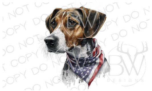 American Treeing Feist Hunting Dog Digital Download PNG