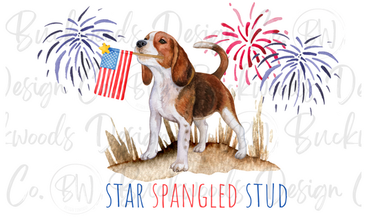 Star Spangled Stud Fourth of July Duck Hunting Digital Download PNG