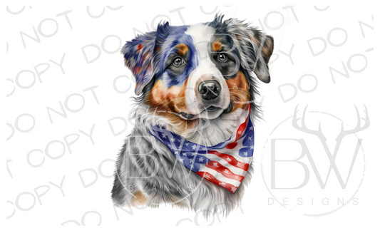 American Aussie Australian Shepherd Dog Digital Download PNG