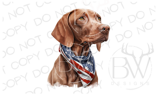 American Vizsla Retriever Hunting Dog Digital Download PNG