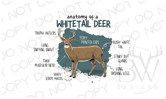 Anatomy of a Whitetail Deer Hunting Digital Download PNG