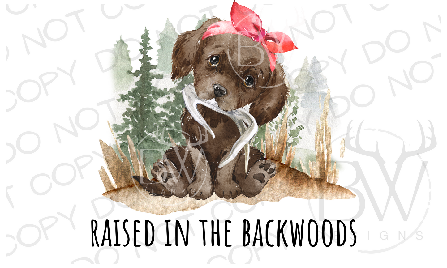 Raised in the Backwoods Shed Hunting Digital Download PNG