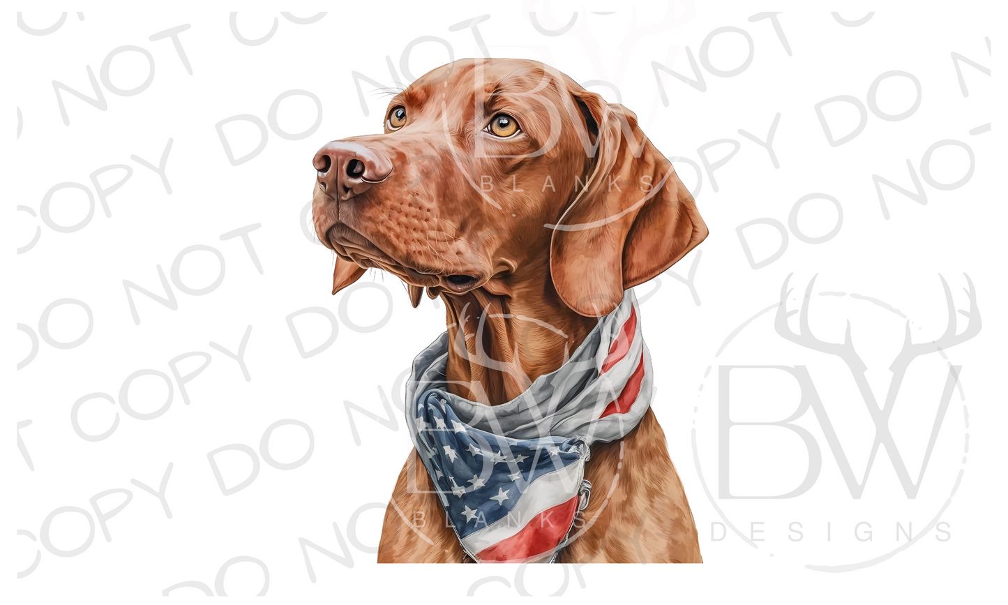 American Vizsla Retriever Hunting Dog Digital Download PNG