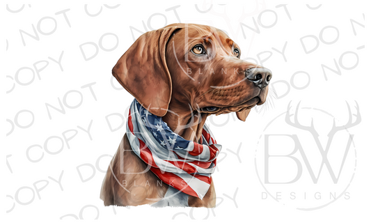 American Vizsla Retriever Hunting Dog Digital Download PNG