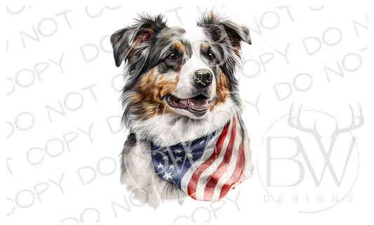 American Aussie Australian Shepherd Dog Digital Download PNG