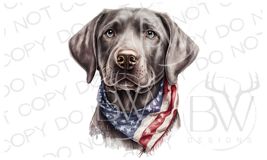 American Silver Labrador Hunting Dog Digital Download PNG