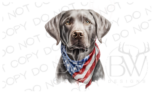 American Silver Labrador Hunting Dog Digital Download PNG