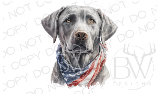 American Silver Labrador Hunting Dog Digital Download PNG