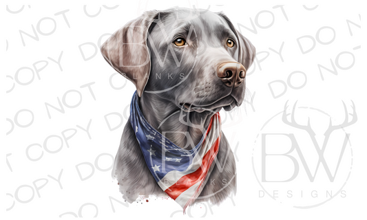 American Silver Labrador Hunting Dog Digital Download PNG