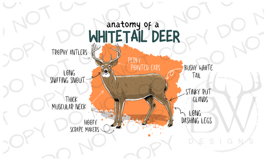 Anatomy of a Whitetail Deer Hunting Digital Download PNG