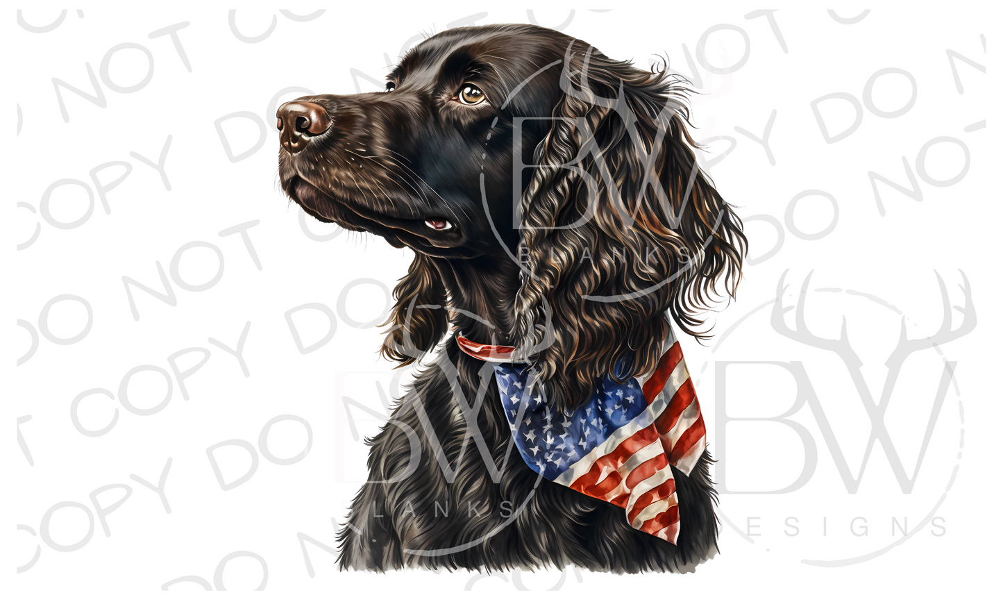 American Boykin Spaniel Hunting Dog Digital Download PNG