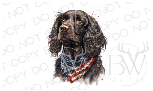 American Boykin Spaniel Hunting Dog Digital Download PNG