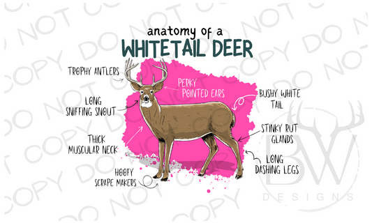 Anatomy of a Whitetail Deer Hunting Digital Download PNG