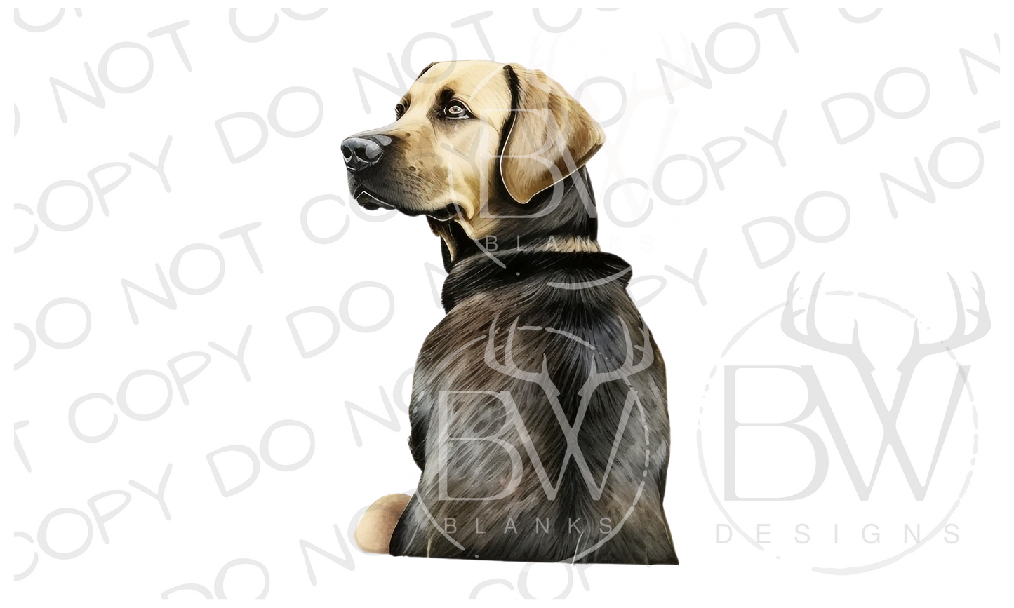 Hunting Dog Digital Download PNG