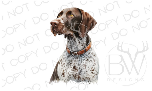 GSP Hunting Dog Digital Download PNG