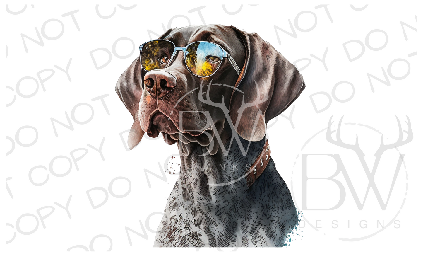 GSP Hunting Dog Digital Download PNG