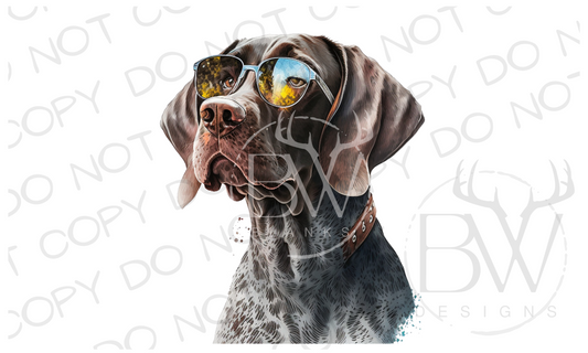 GSP Hunting Dog Digital Download PNG