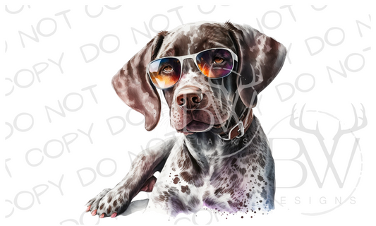 GSP Hunting Dog Digital Download PNG