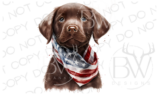 American Chocolate Labrador Puppy Hunting Dog Digital Download PNG