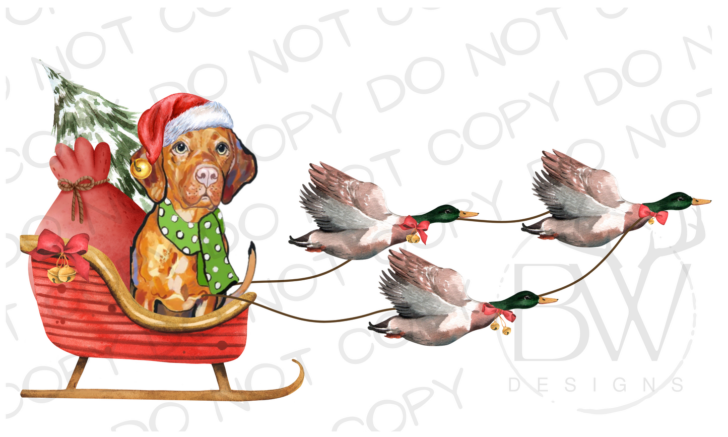 Duck Hunting Christmas Sleigh Vizsla Digital Download PNG