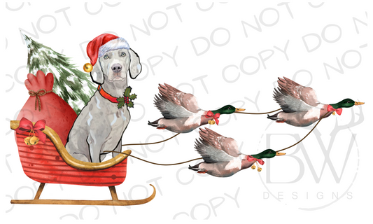 Duck Hunting Christmas Sleigh Weimaraner Digital Download PNG