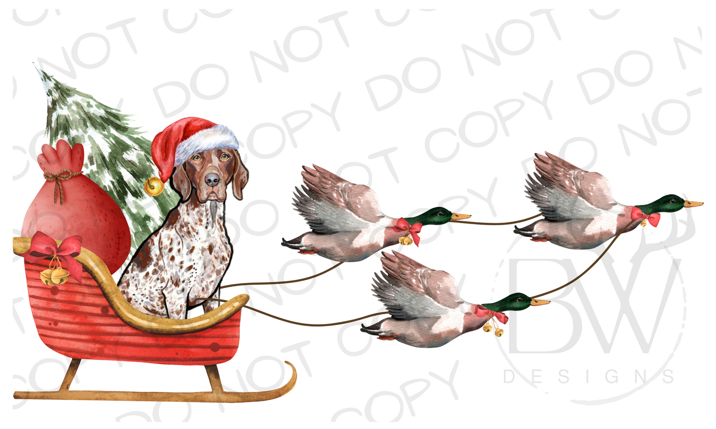 Duck Hunting Christmas Sleigh German Short-haired Pointer Digital Download PNG
