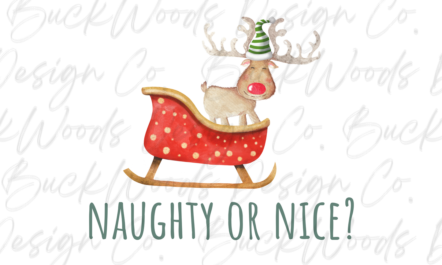 Naughty or Nice Christmas Digital Download PNG