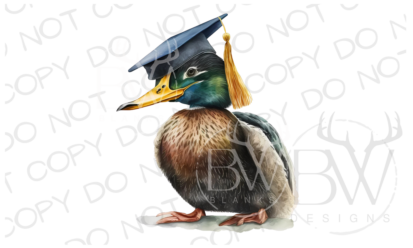 Mallard Duck Graduation Duck Hunting Digital Download PNG