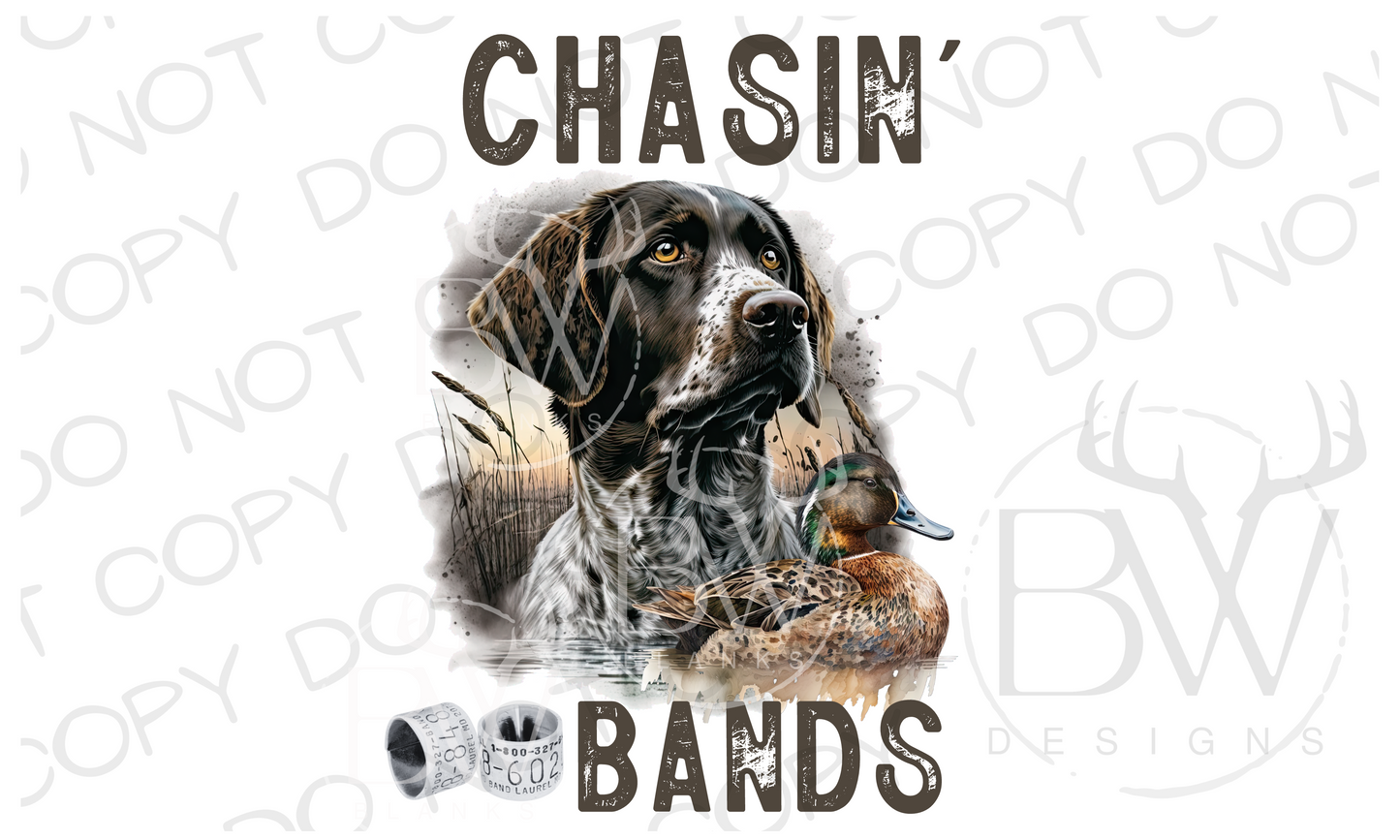 Chasin' Bands Duck Hunting Digital Download PNG